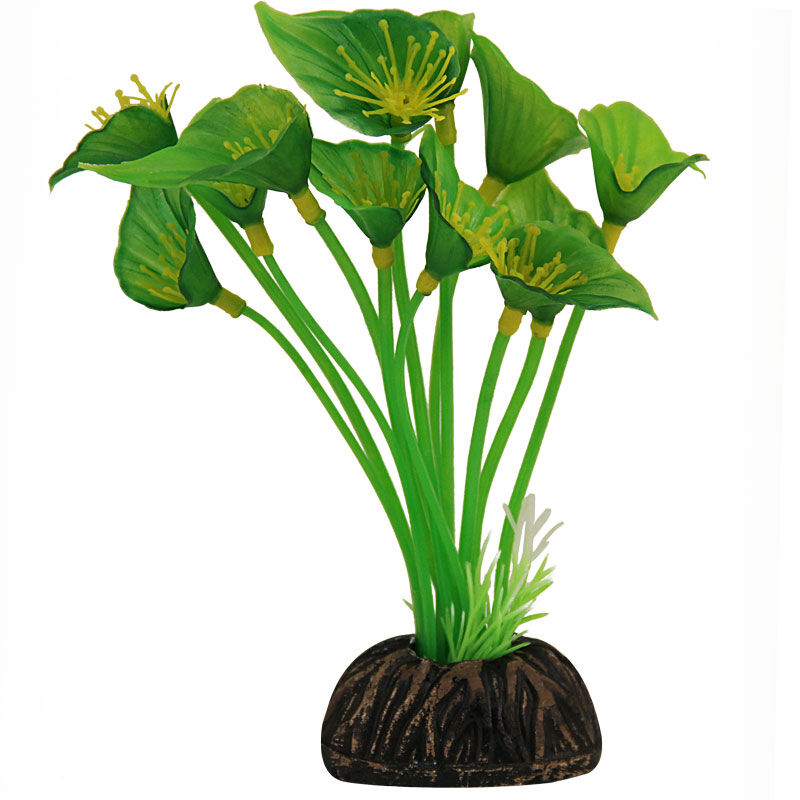 Растение пласт 1304Р Спатифиллум 100 ммзеленый (пакет)