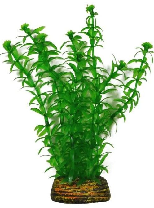 Растение Тритон пластмас. 16 см 1673