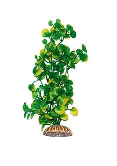 Растение Тритон пластмас. 25 см 2558