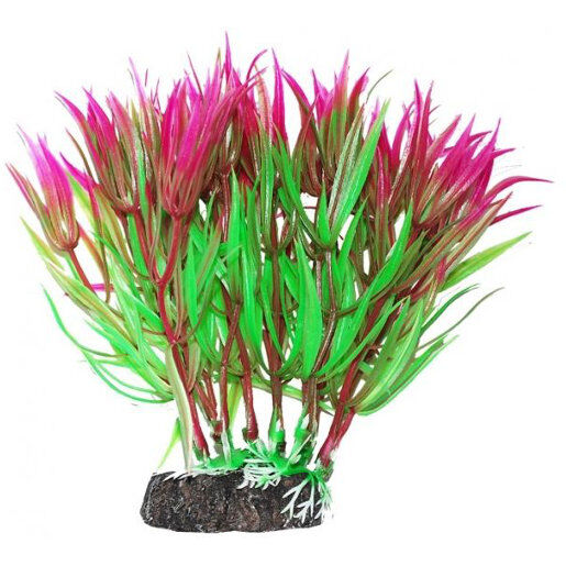 Растение УЮТ 12 см Гетерантера зелено-фиолетовая 311ВК