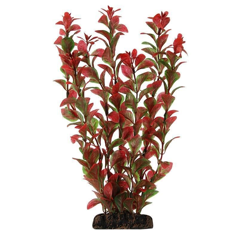 Растение 1967 "Людвигия"красная,200мм, (пакет),Laguna
