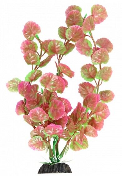 Растение Щитолистик роз.-зеленое 200мм Лагуна LD1034