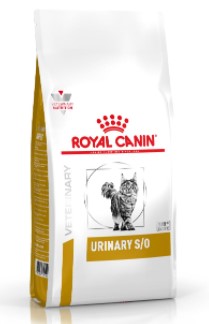 Royal canin cena top