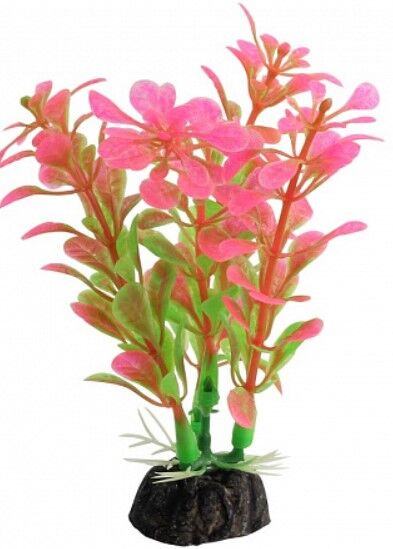 Растение Лагуна LD1031 Альтернатера 100 мм розовая