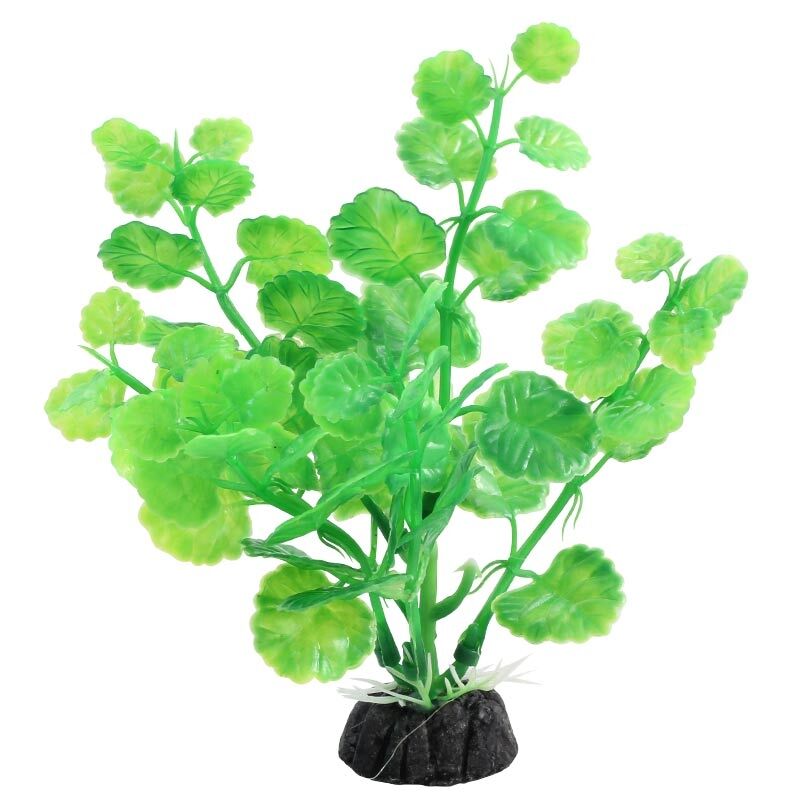 Растение Лагуна LD1119 Щитолистник 100мм светящийся зелен.