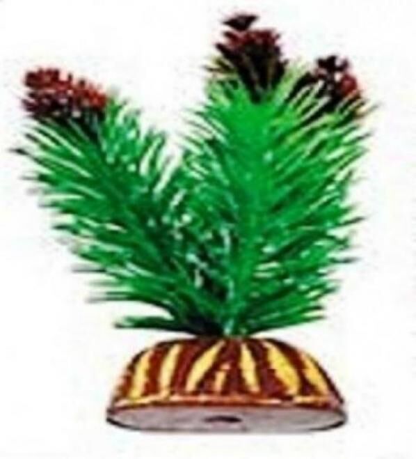 Растение Тритон пластмас. 10 см 1025