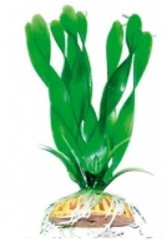 Растение Тритон пластмас. 16 см 1669