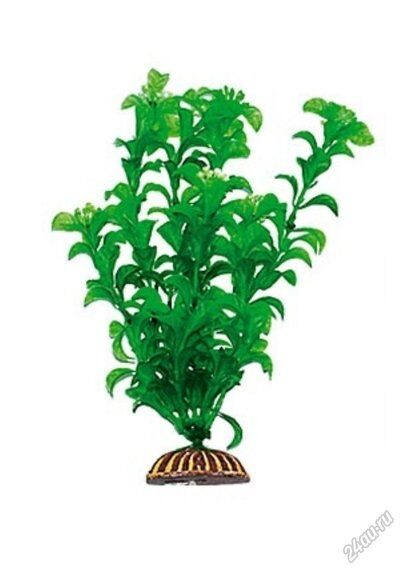 Растение Тритон пластмас. 25 см 2552