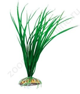 Растение Тритон пластмас. 25 см 2559