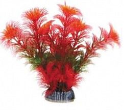 Растение "Амбулия" красная,100мм,ЛАГУНА