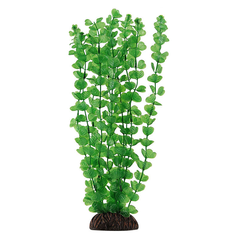 Растение "Бакопа"зеленая,100мм,ЛАГУНА 