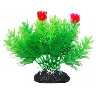 Растение УЮТ 11 см Маяка зеленая с красным 206 ВК
