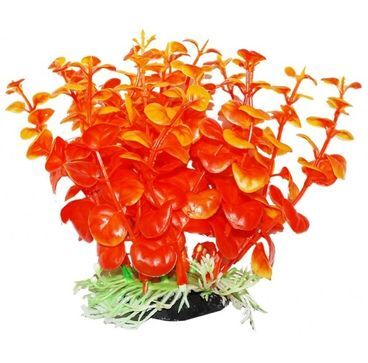 Растение УЮТ 12 см Бакопа оранжевая 308 ВК