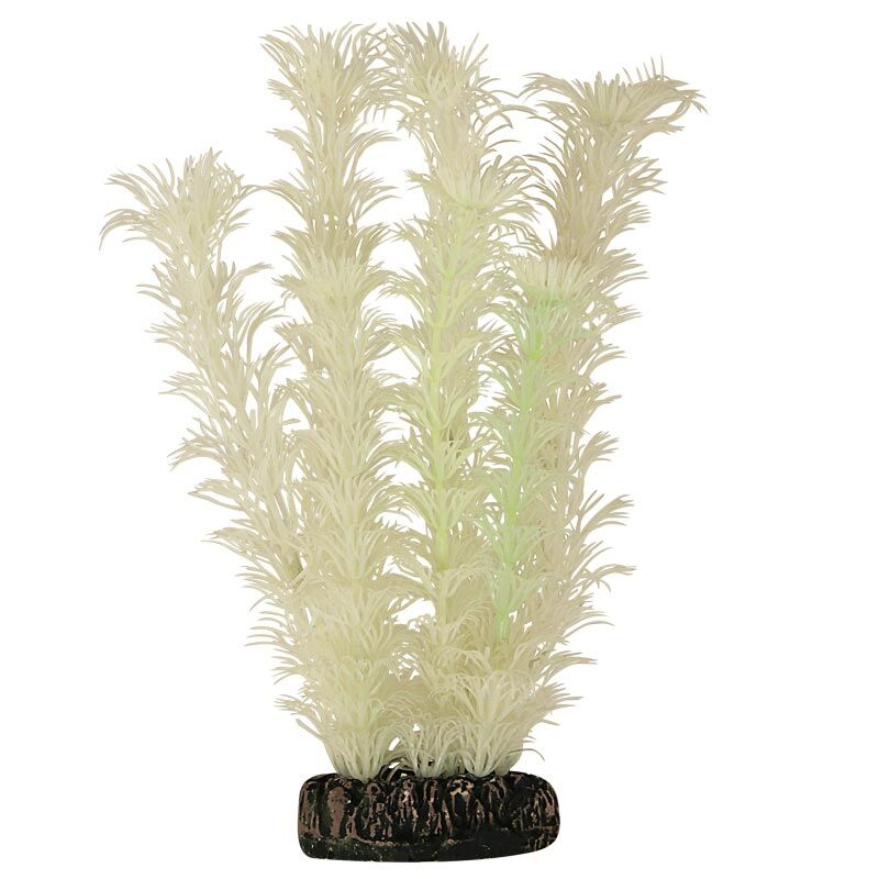 Растение20097Y светящ-ся Амбулия,белая,200мм,(блистер),Laguna