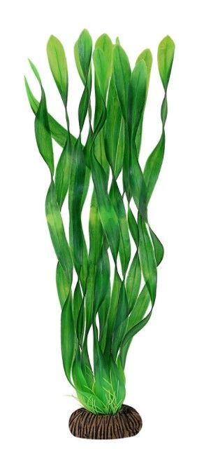 Растение3455"Валлиснерия"зелен,350мм, (пакет),Laguna