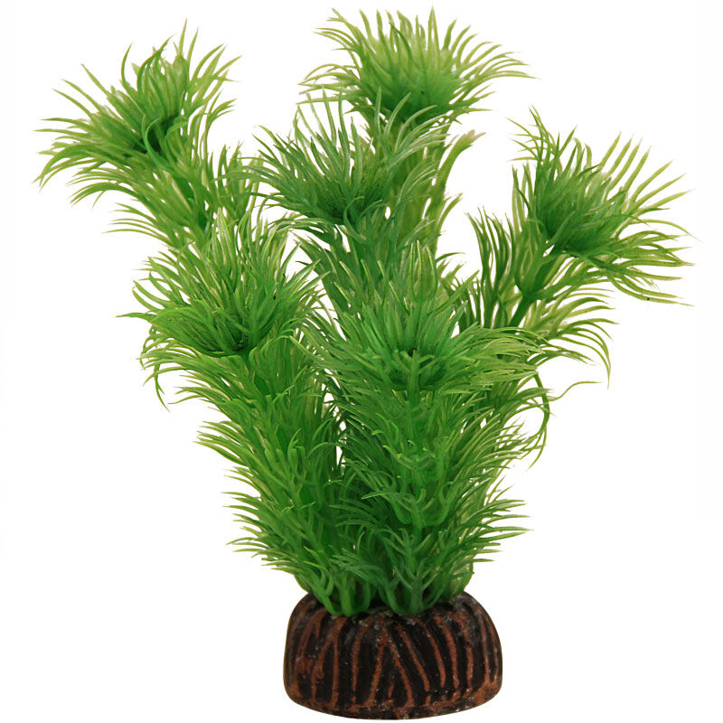 Растение 1393 "Амбулия" зеленая, 100мм, (пакет), Laguna