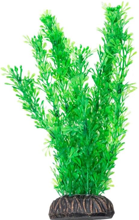 Растение 1969 "Лигодиум"зелен,200мм, (пакет),Laguna