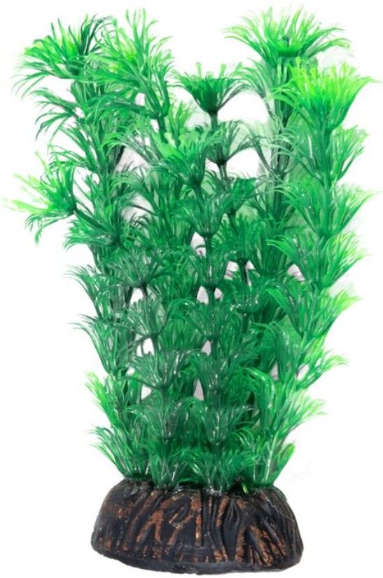 Растение 1993 "Амбулия"зелен,200мм, (пакет)Triol