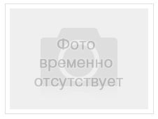 Панцирь каракатицы 15 см Кеша 521004
